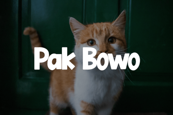 Pak Bowo Font: A Practical Display Typeface for Your Brand