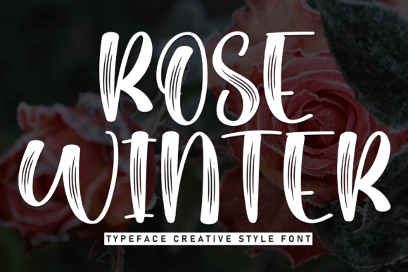 Rose Winter Review: A Stylish Display Font with a Hand-Painted Feel
