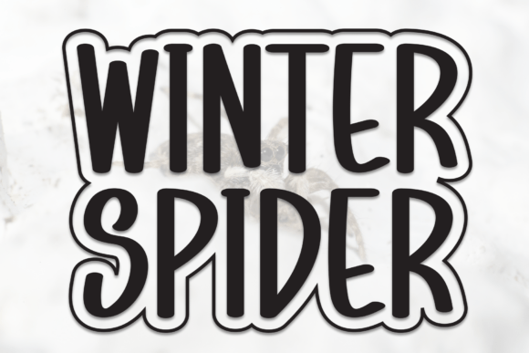 Winter Spider: A Designer’s Honest Review Before You Use It